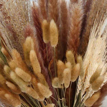80buc Naturale Reed Flori Uscate Papura pentru Decor Flori Uscate Real Iarbă de Pampas Petrecere de Nunta Aranjament Boho Decor Acasă