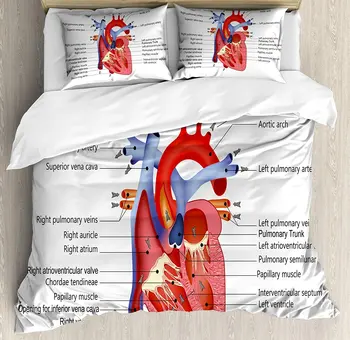 De învățământ Set de lenjerie de Pat Medicale Structura Inimile Anatomia Corpului Uman Organe Vene Cardiologie Plapuma fata de Perna 0