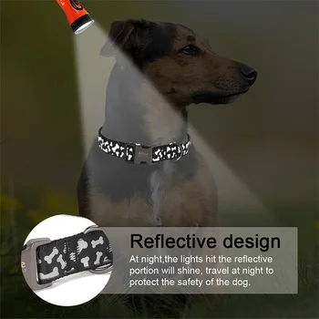 Animale de companie câine guler personalizate personalizate câine brand caine mic mediu Pug câine Bulldog francez câine mare luminos guler câine consumabile