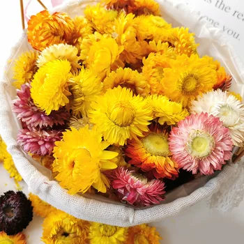 Koko Flori 50g Naturale Colorate Crizanteme Flori Uscate de Nunta Decor Acasă Meserii DIY Tămâie Decor Micul Daisy