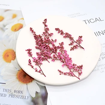 12pcs/5-8cm,Natural Presat de Perle de flori cu tulpina,Real Veșnică planta DIY invitatii de Nunta Ambarcațiuni Foto Marcaj Carduri Cadou 4