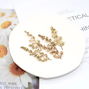 12pcs/5-8cm,Natural Presat de Perle de flori cu tulpina,Real Veșnică planta DIY invitatii de Nunta Ambarcațiuni Foto Marcaj Carduri Cadou 5