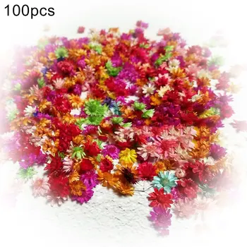 100buc Flori Uscate Capul Multicolore Flori Artificiale Cap Pentru Coroana de Nunta Ghirlanda Decor lucrate Manual DIY Scrapbooking Ambarcațiuni