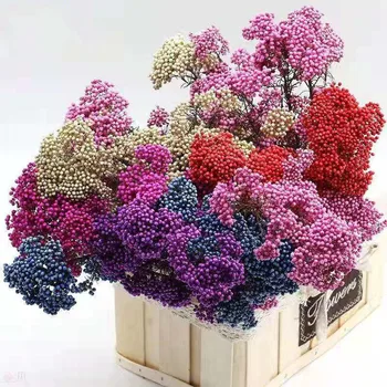 50gNatural Mei Floare Reală Veșnică Orez Buchet de Flori Roz Decor de Crăciun Flori Artificiale Pentru Decor Nunta